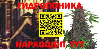 альфа пвп Краснознаменск